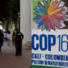 COP16 Climate Summit preparations
