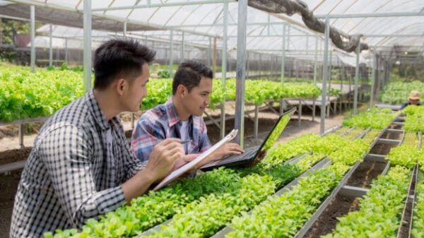 Urban Gardening and Green Spaces
